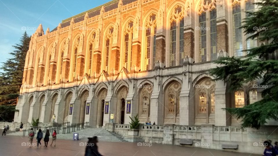 UW Library At Sunset