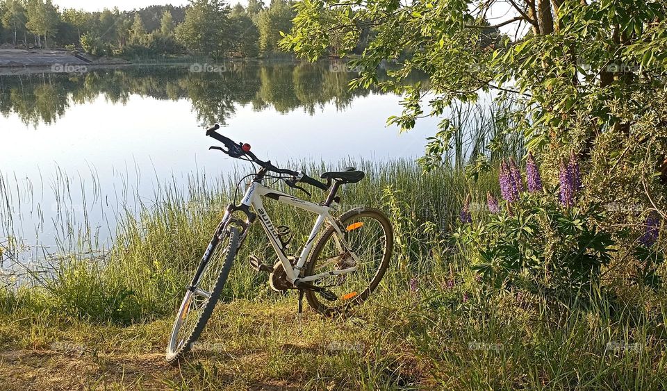 bike 🚲 on a rural road beautiful nature landscape lake shore