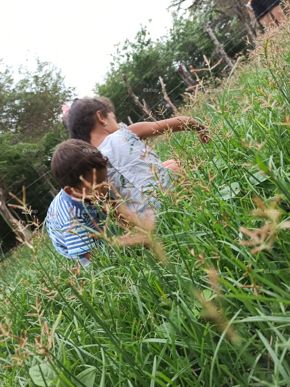 vacaciones en el campo