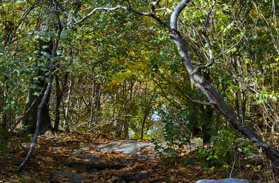 Beautiful hiking trail in fall on mountain with rocks and colorful autumn leaves with streaming sunlight and  escape in nature tranquility scene background 