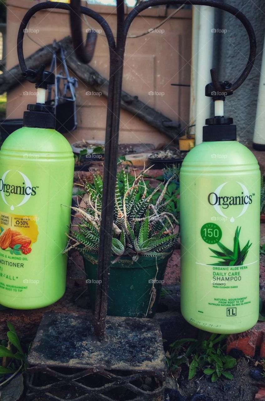 Organics Daily Care 2-in1, Shampoo and Conditioner