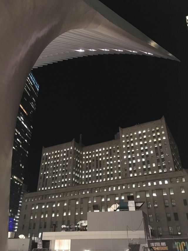 Downtown manhattan 