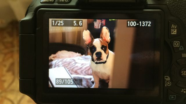 Photo 