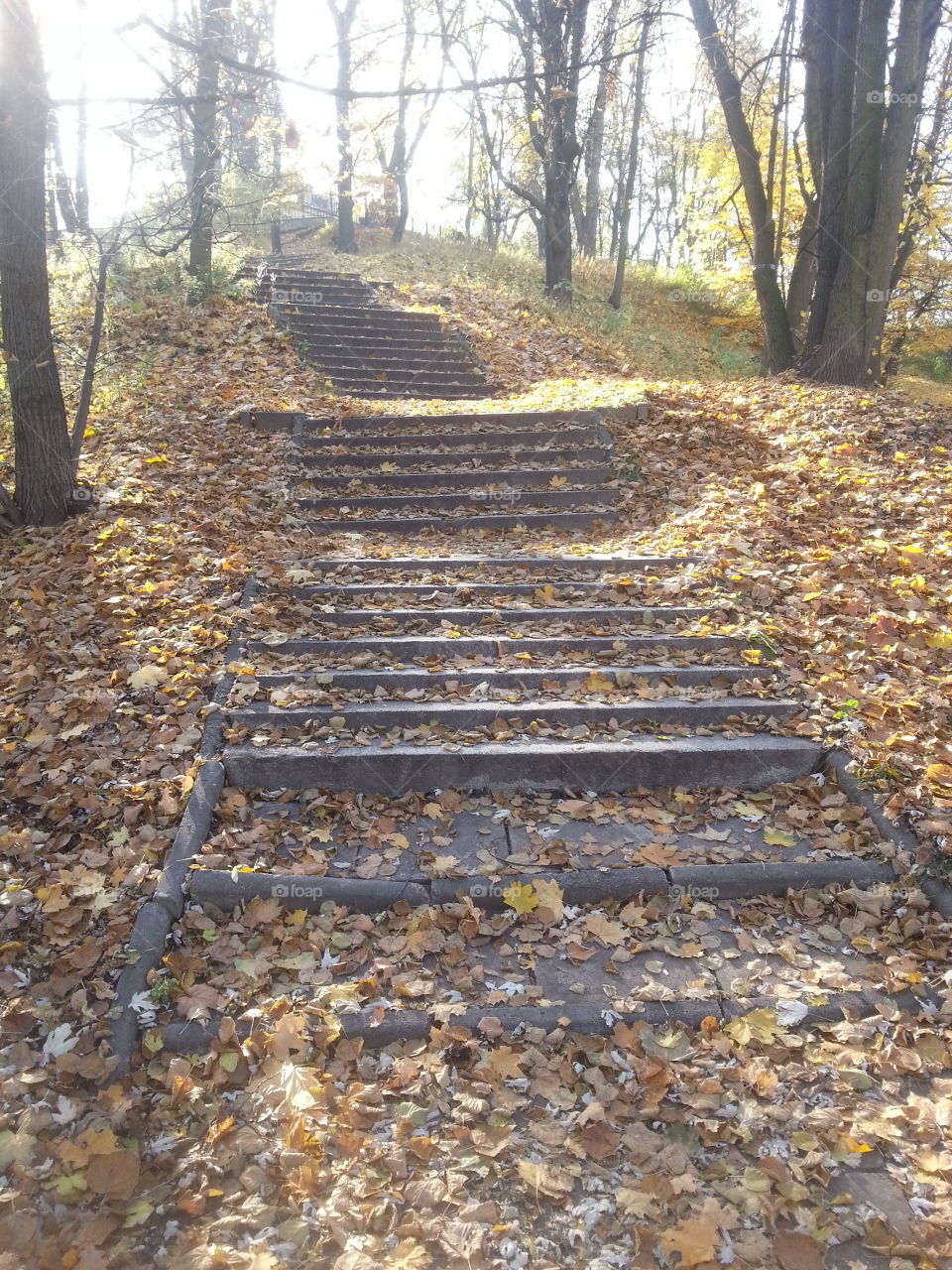 Stairs in autumn 