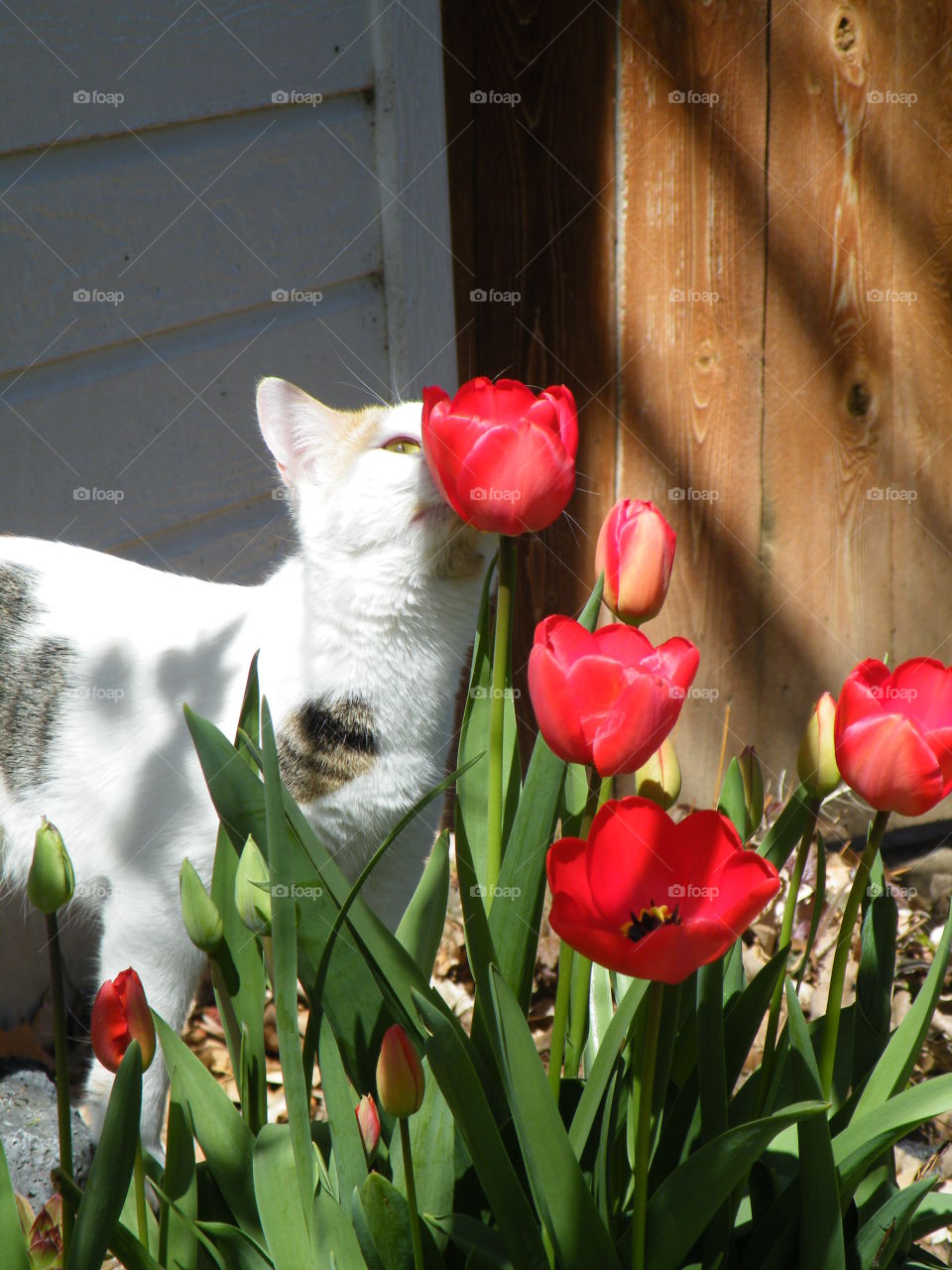 stop and smell the flowers