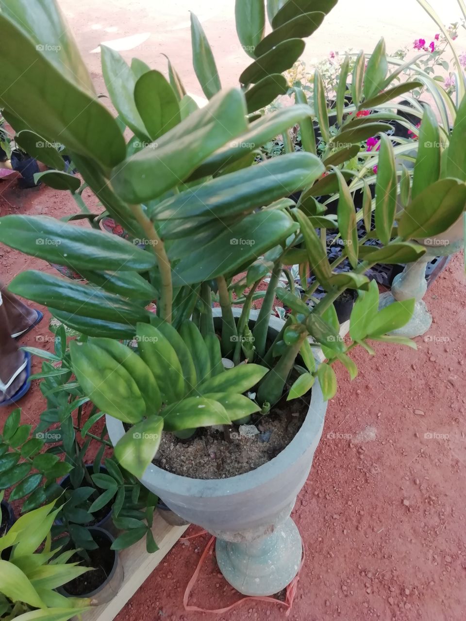 The flower pot display by the local village ladies # pretty awesome #beautiful