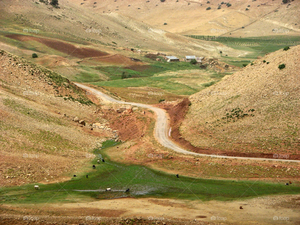 green brown desert marocco by hofit25