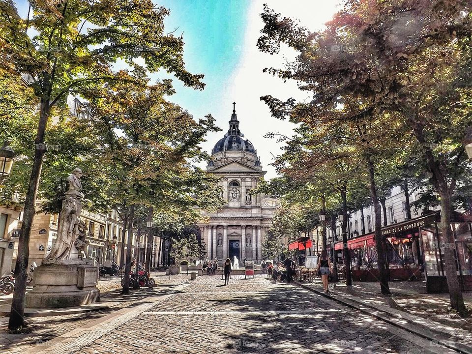 Paris Mornings