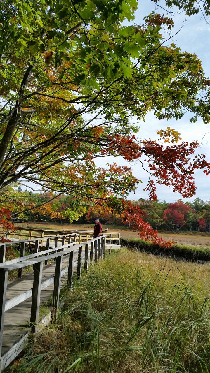 Nature Walk