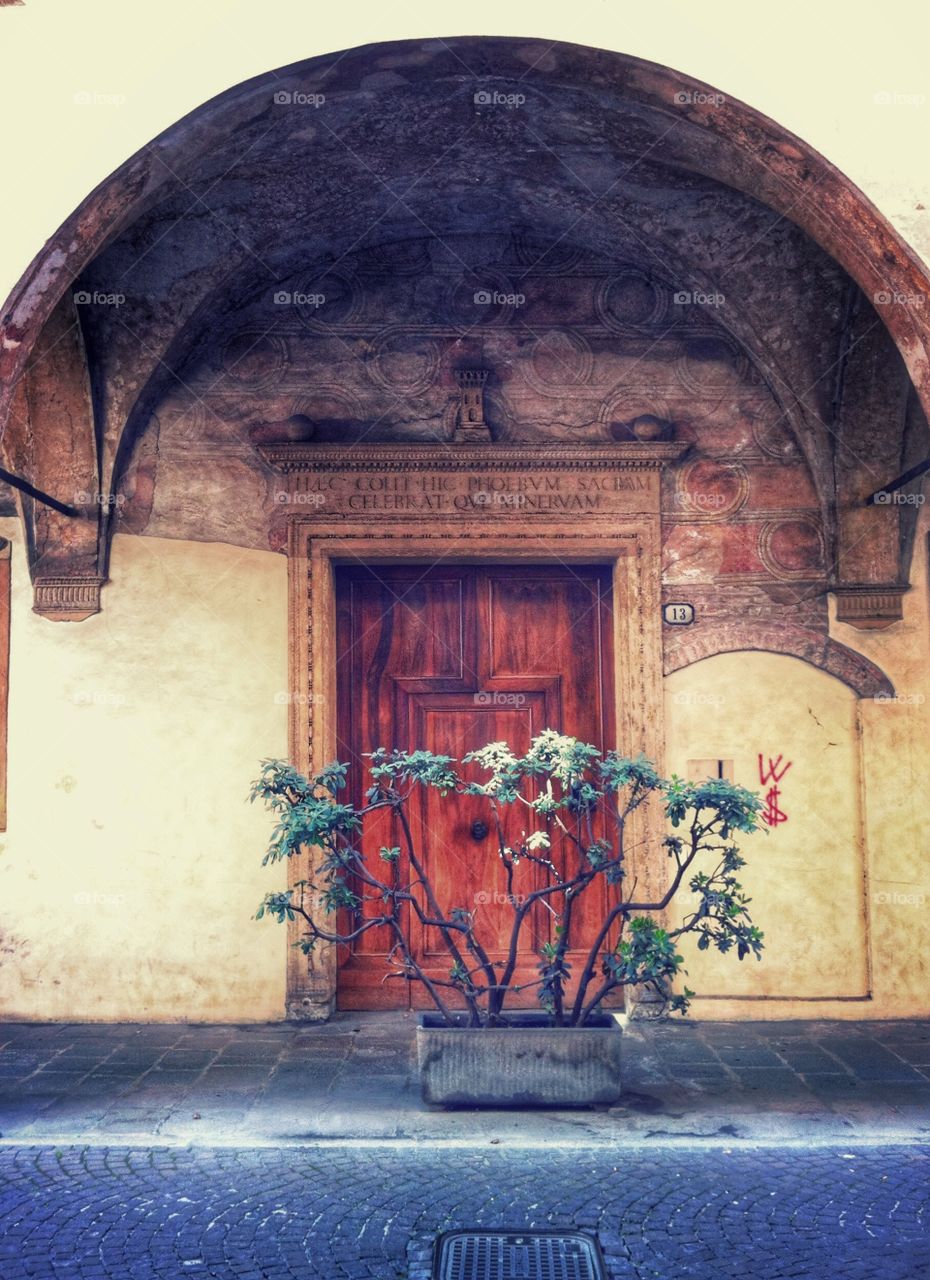 Interesting door in Padua, Italy 