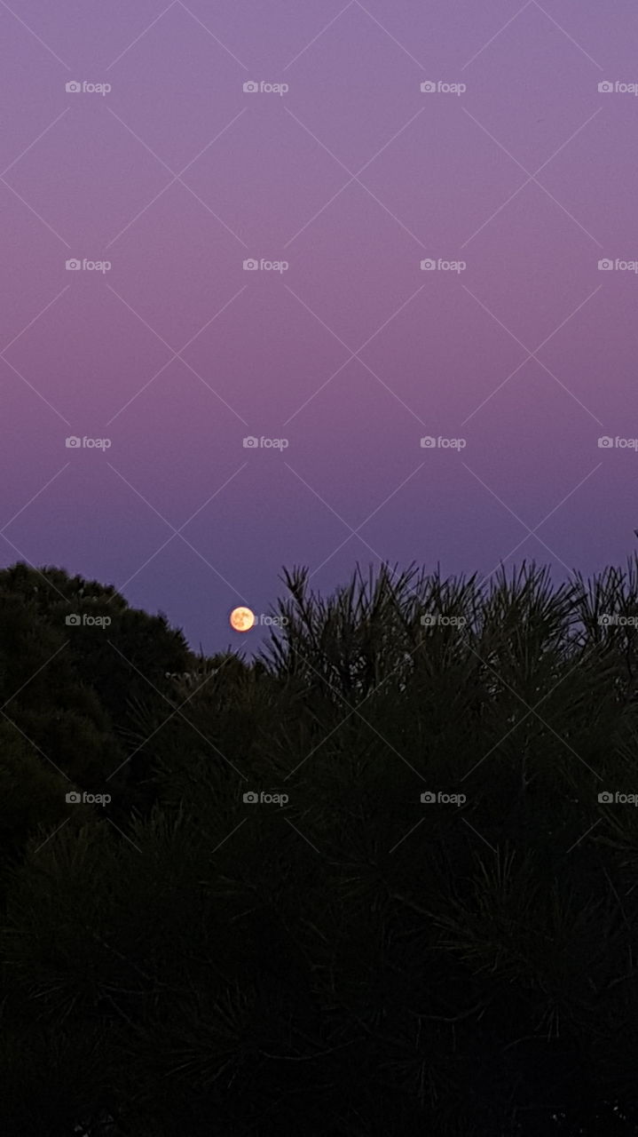 Landscape, Sunset, Sun, Light, Sky