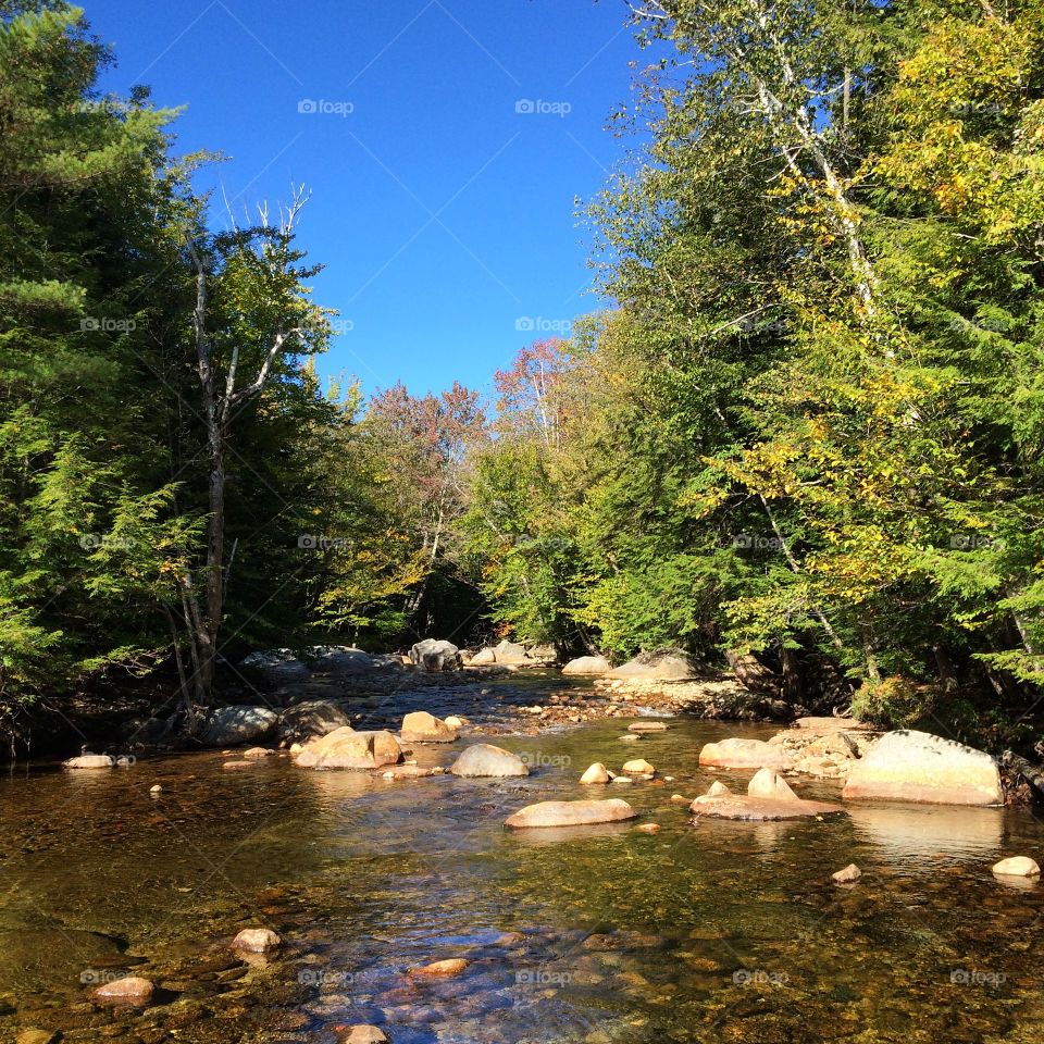 Pemigewasset River