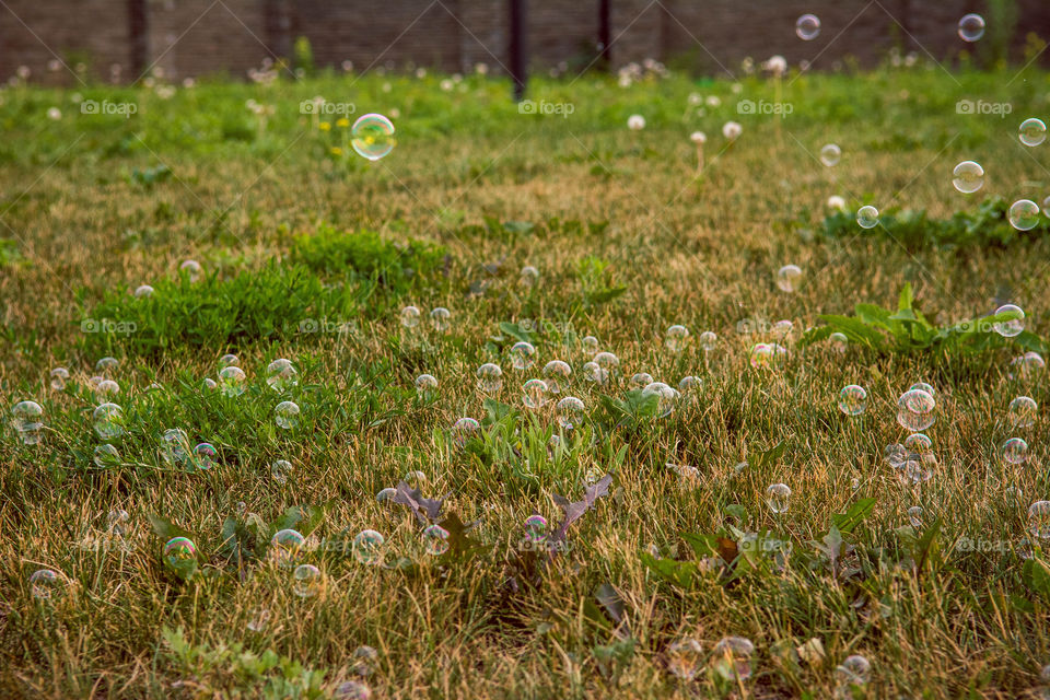 Bubbles