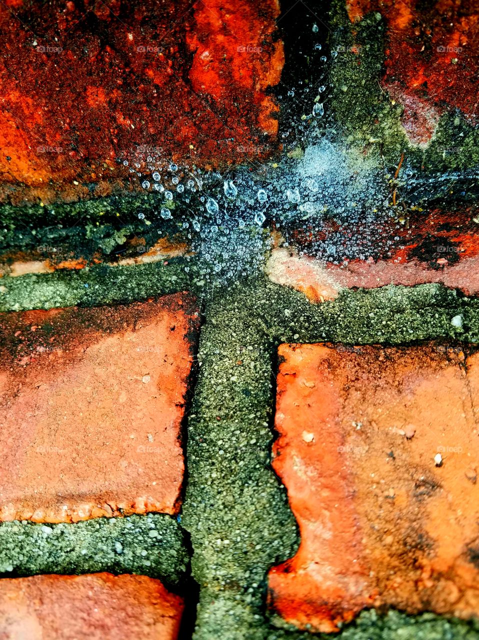 bricks, spiderweb and water