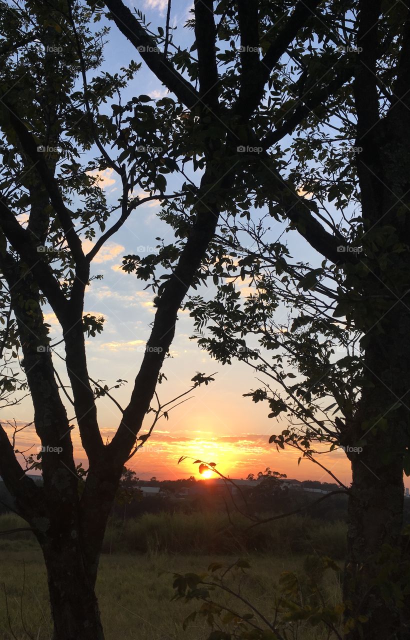 🇧🇷A natureza é bela! Aqui, o nascer do sol nas divisas de município de Jundiaí e Itupeva, no interior do Brasil/ 🇺🇸The nature is very beautiful! Here, the sunrise on the boundaries of the municipality of Jundiaí and Itupeva, in the interior of Brazil.