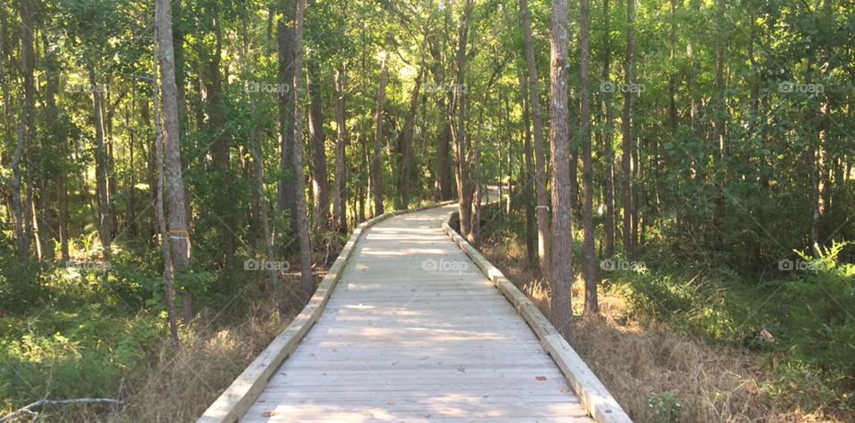 This Narrow Wooden Bridge brings you to a Secret Luxurious Garden