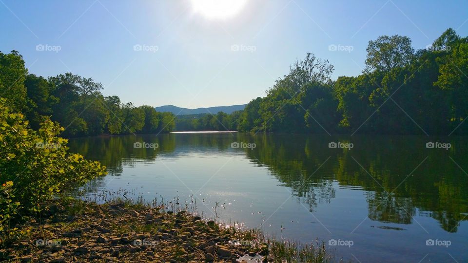 Trees reflecting on river