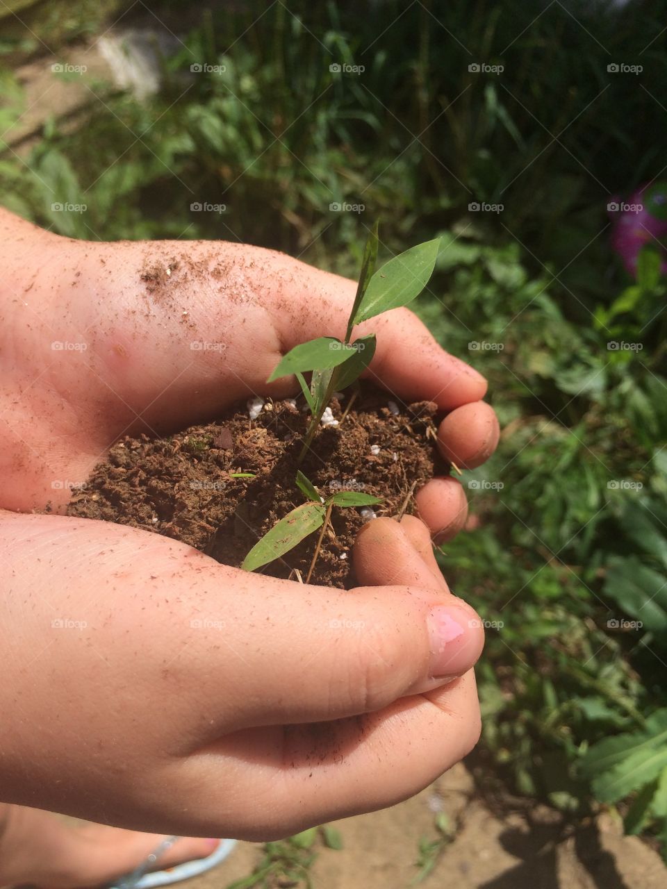 A touch of Earth in a child's hands