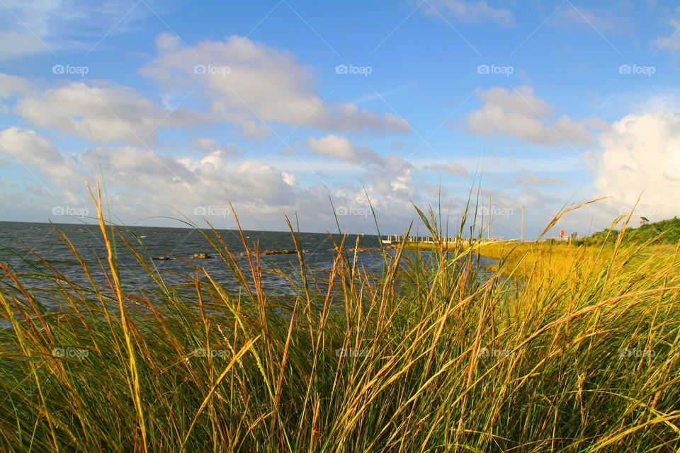 Across the Bay ( Series )