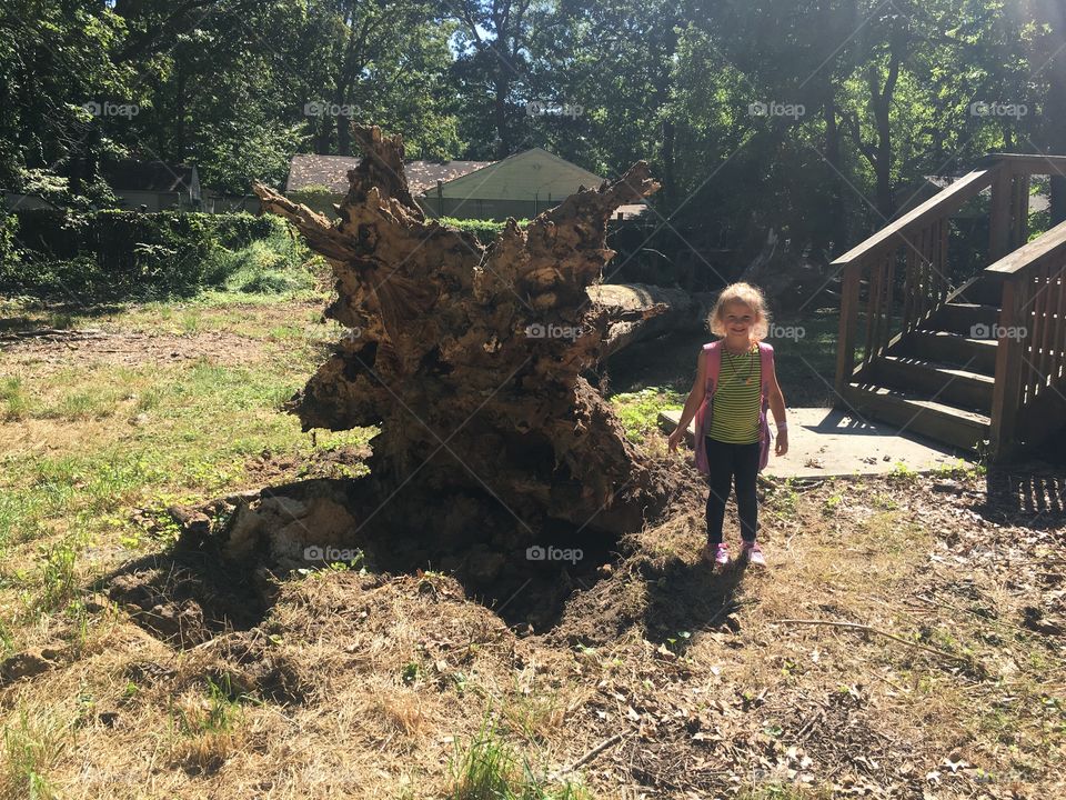 Little girl next to giant tree