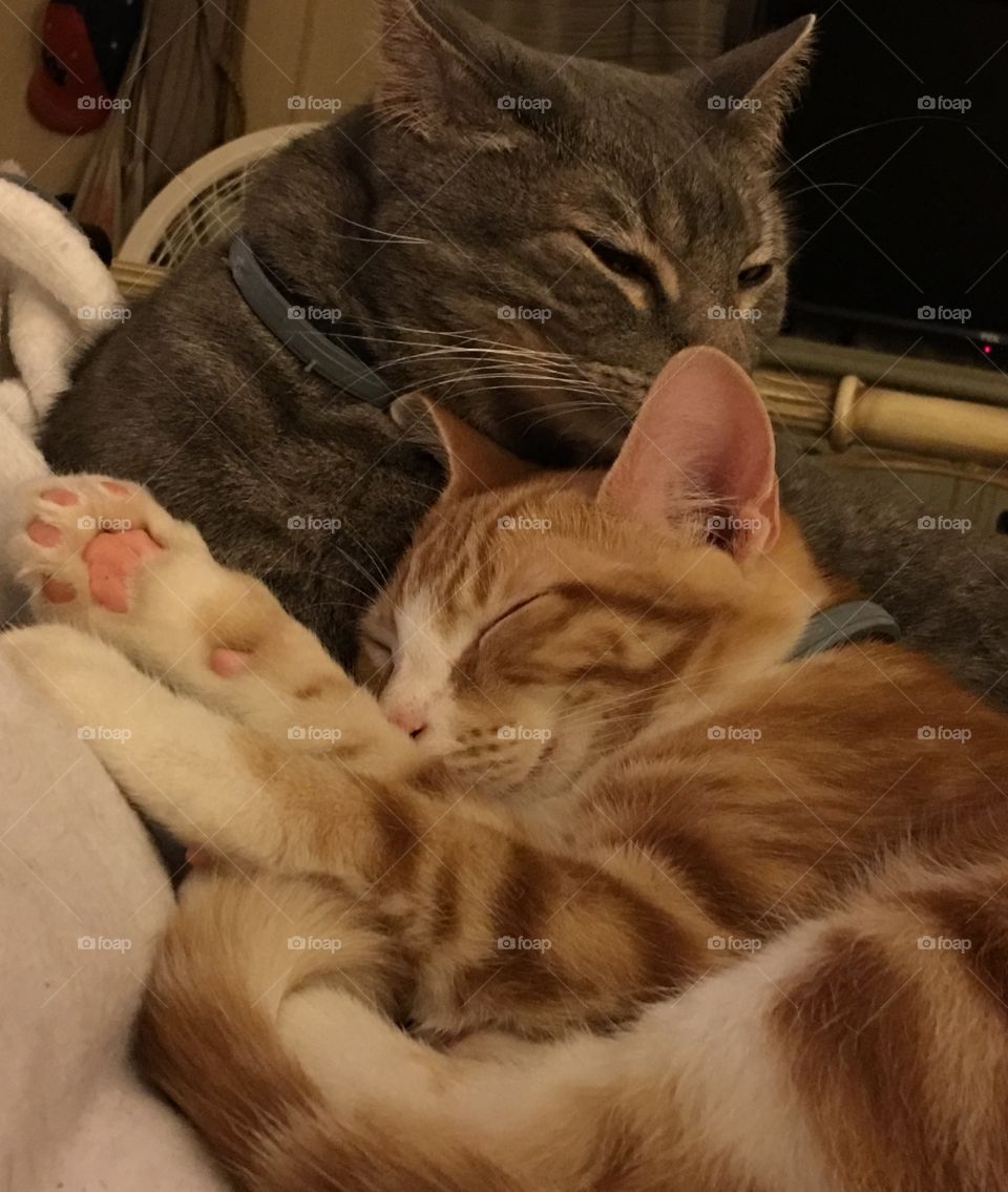 Sweet brothers. 