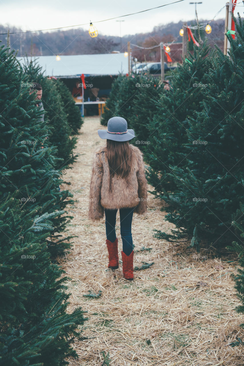 Christmas Tree shopping 
