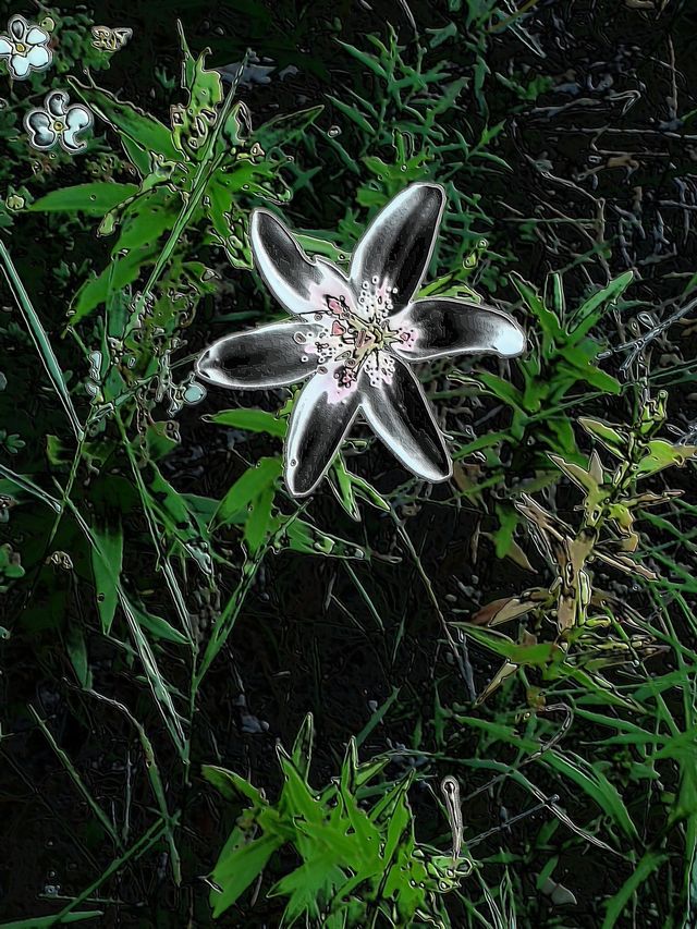 Flower