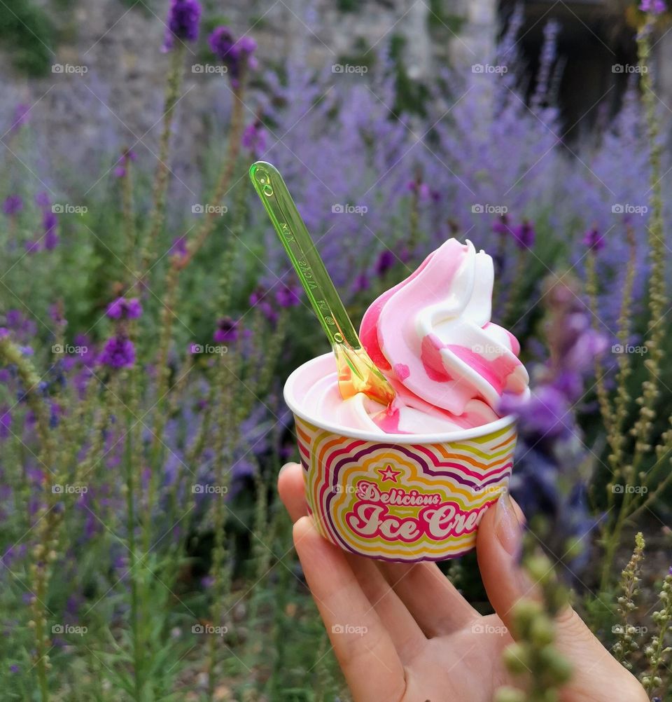 Summer treats. Delicious ice cream. Lavender field.