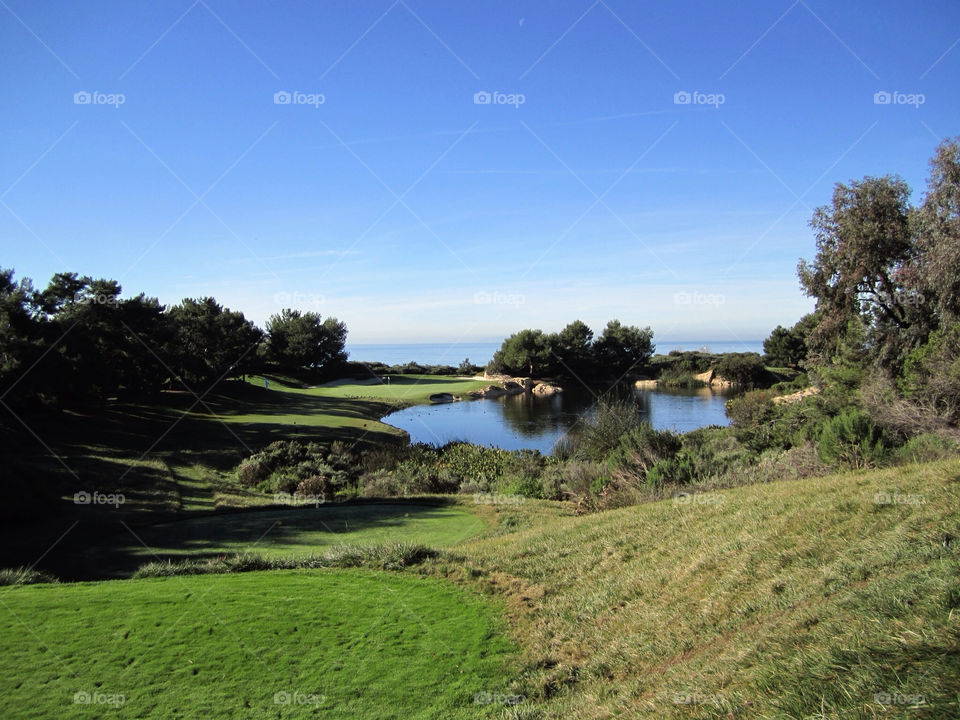 new port beach beach sky green by trist9