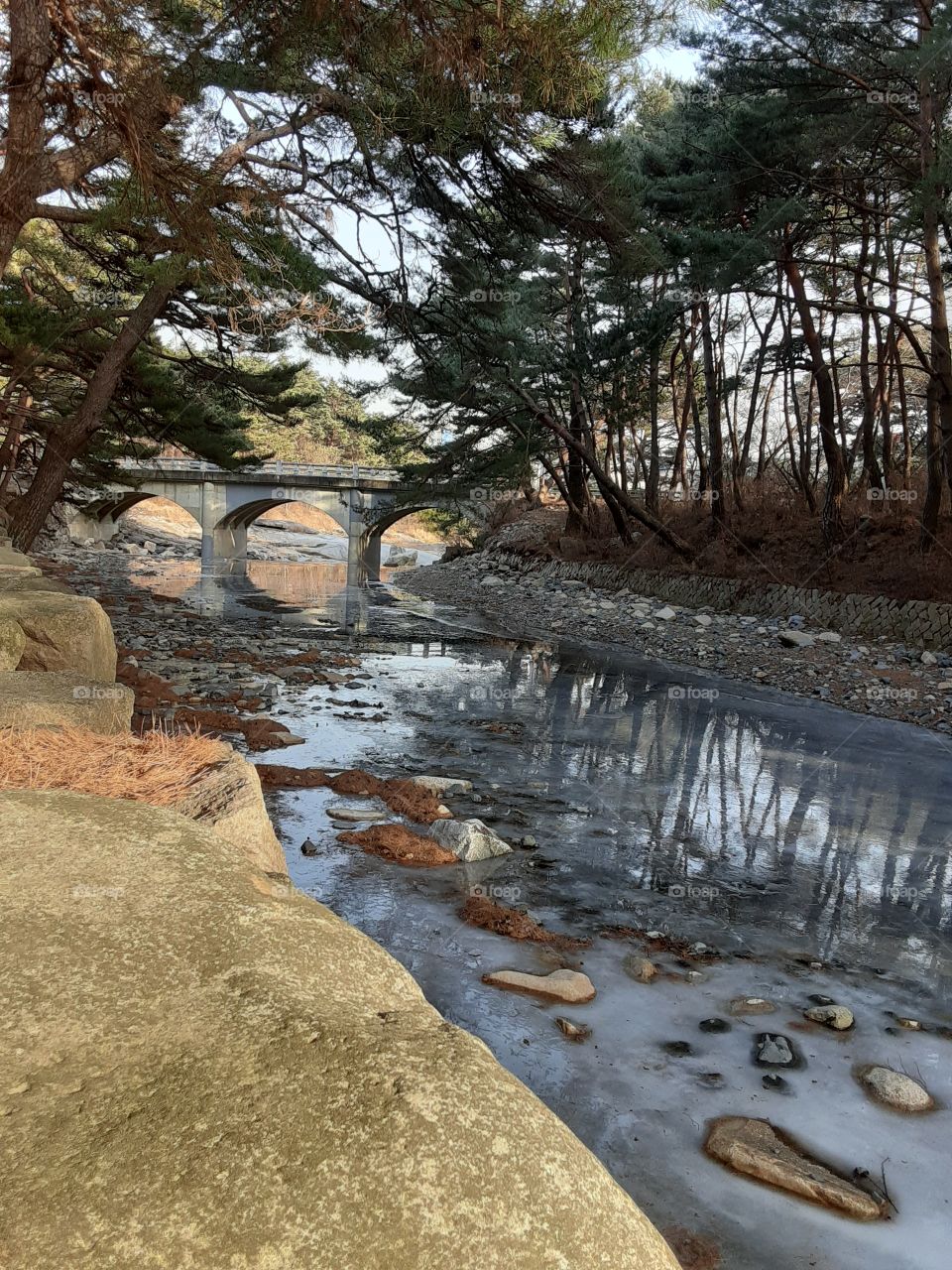 on my way to tongdosa temple to have some fresh air i saw this place and it looks so beautiful watching the water turn into an ice. with the bridge there and tress around it it makes the place more cooler.  sometimes winter is really beautiful .