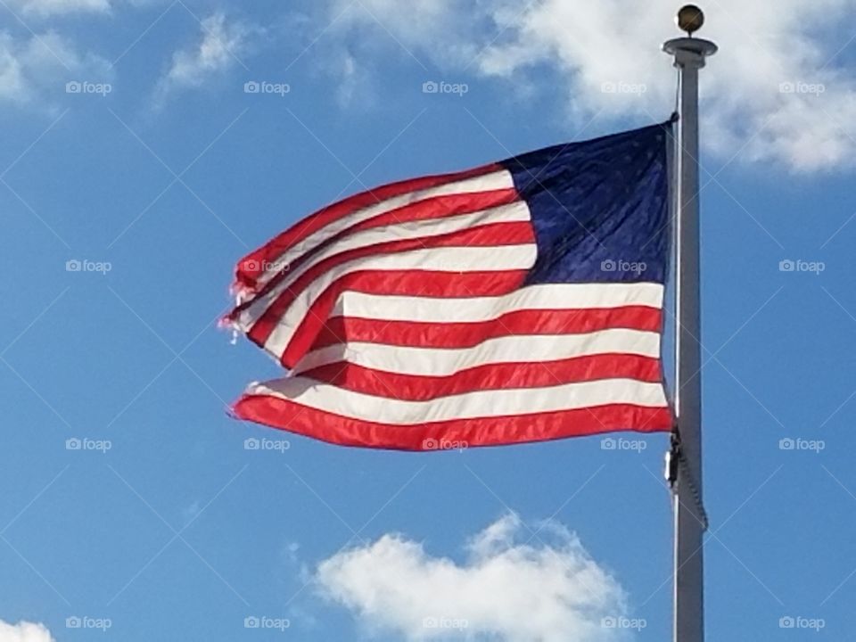 The Flag