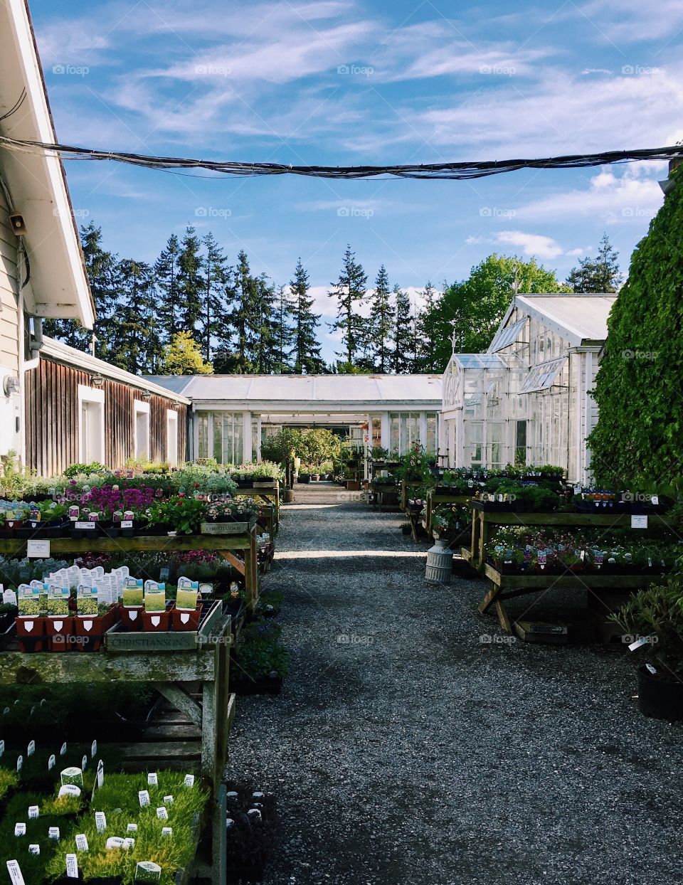Sunny day at a plant nursery 