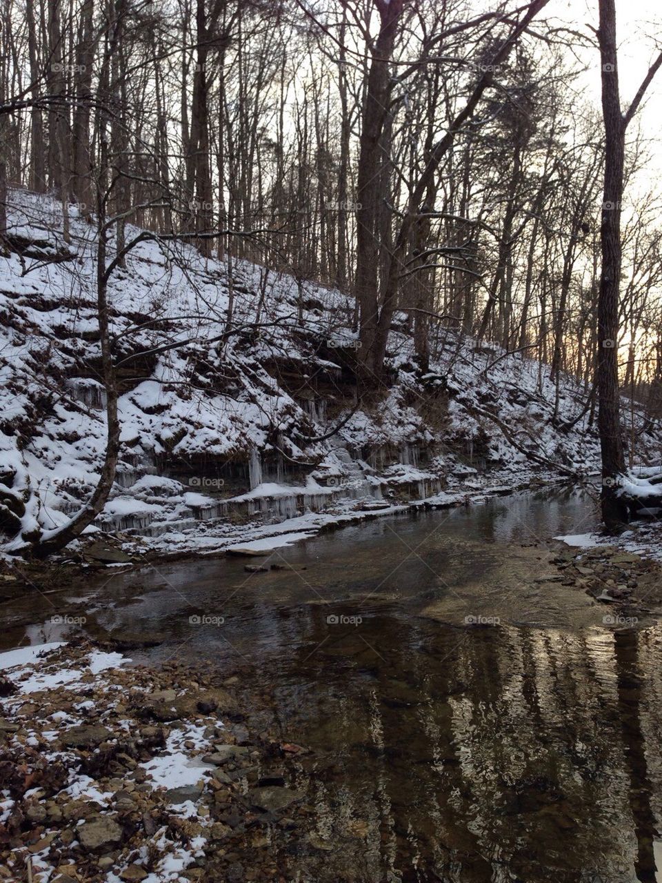 Winter at the creek