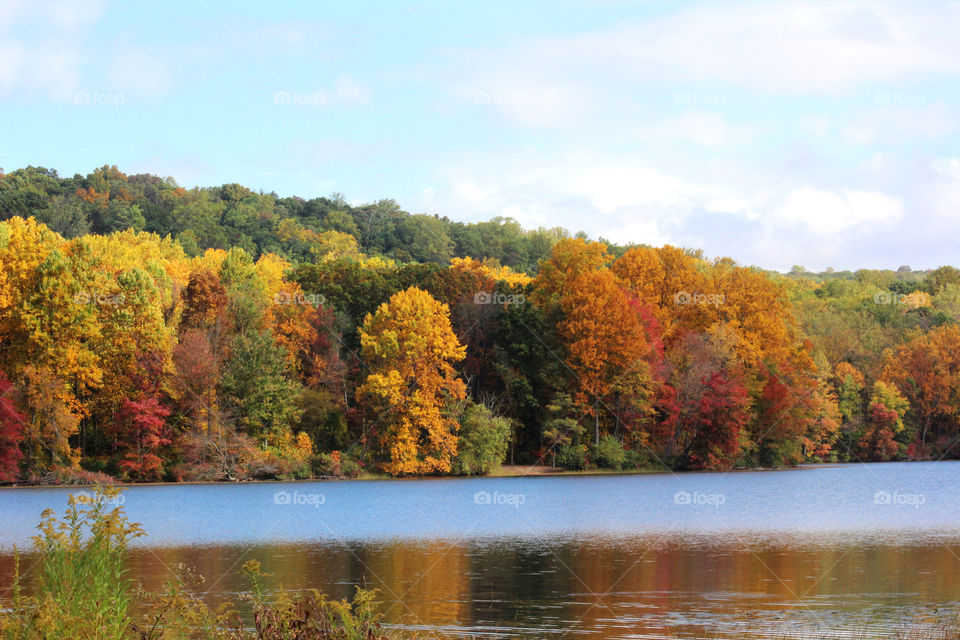 A beautiful autumn afternoon by the lake.