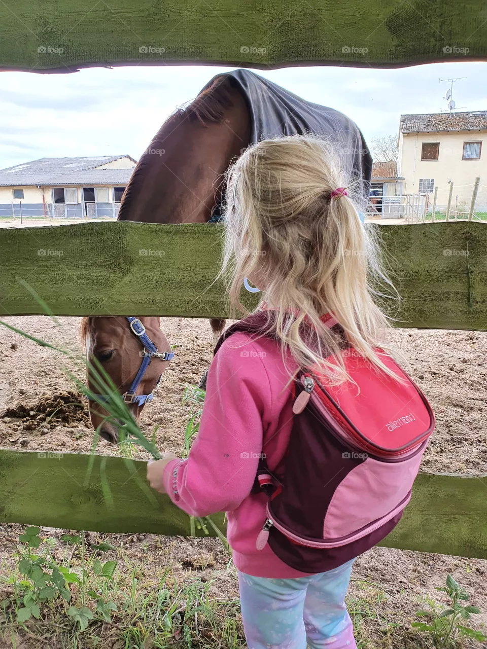 Kind will Pferd füttern