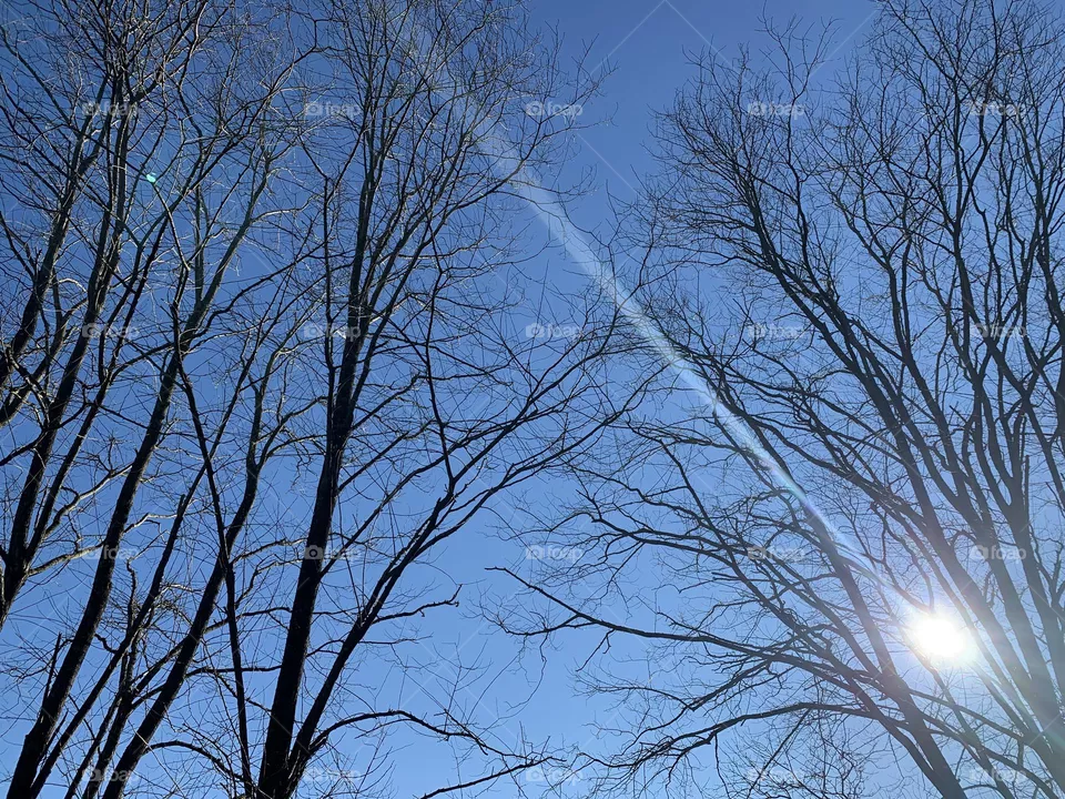 Sunshine
