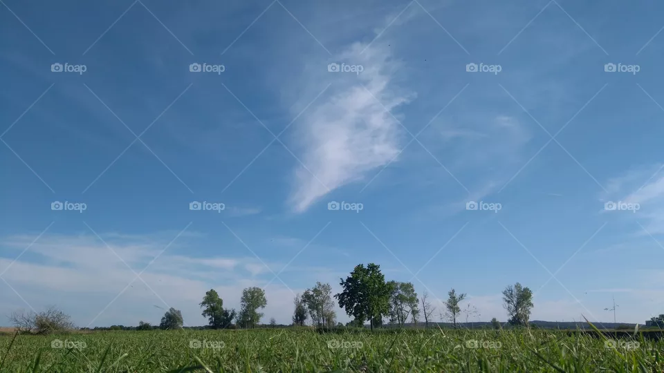 cloud