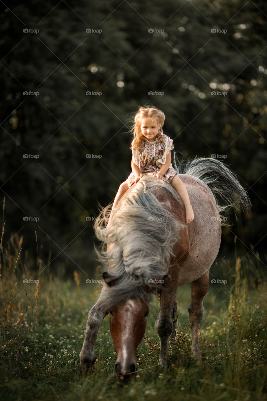 Little girl with horse at summer evening 