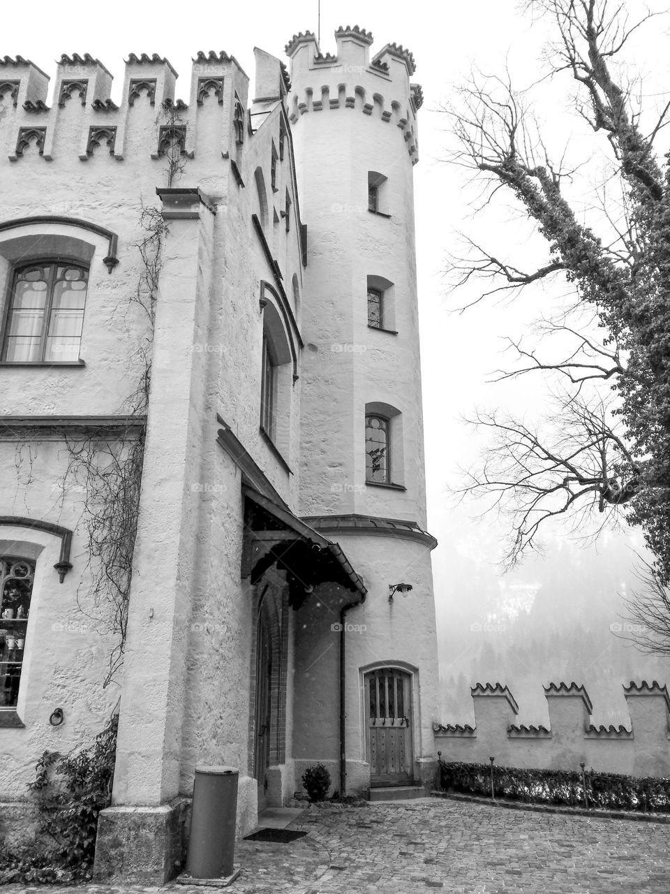 Hohenschwangau Castle, Germany.
Walking around and getting to know the castle is like starring in a fairy tale.
Snowy and misty winter.
