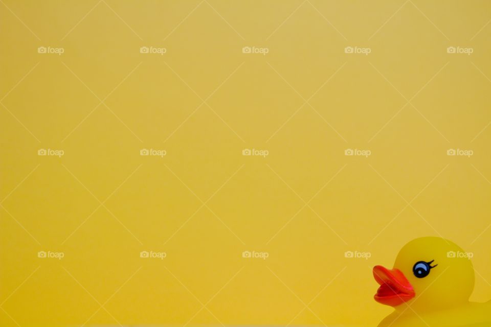 Yellow rubber duck on yellow background 