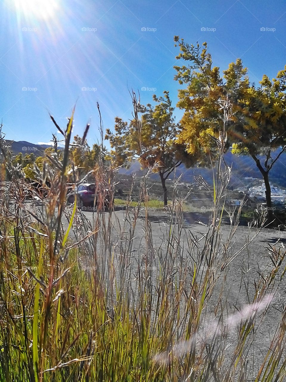 Images of Andalucia, Spain . Exploring Andalucian beauty 