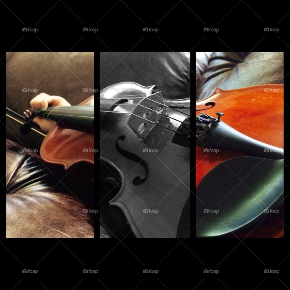 The violin 