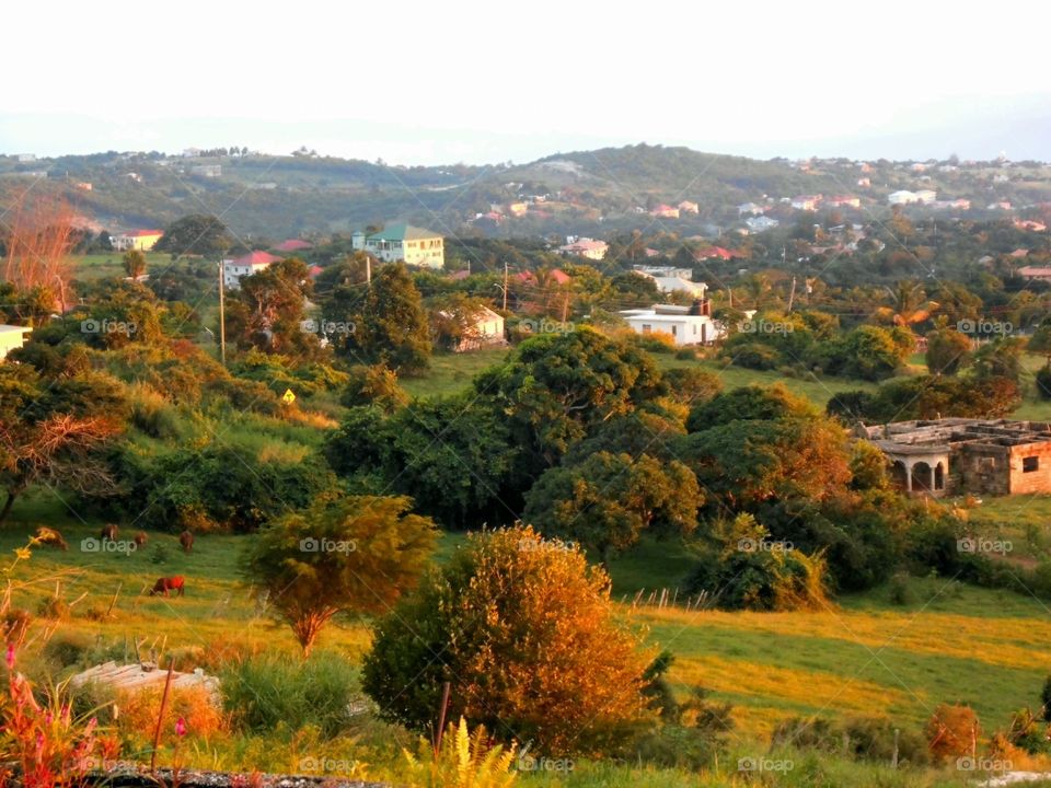 Landscape At Sunset