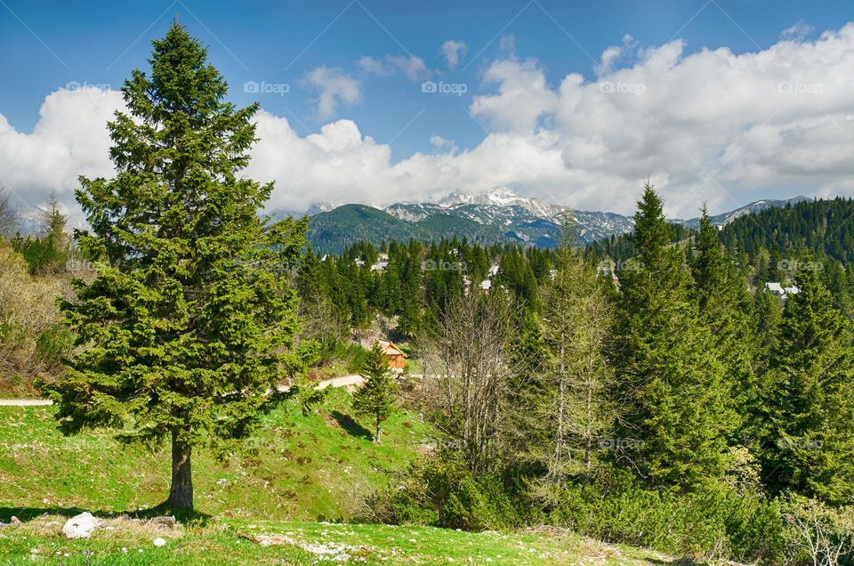 Scenic view of the green Alps mountains against blue sky.  Spring landscape.  Slovenia.