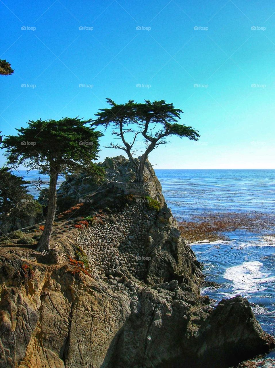Breathtaking beauty of the Lone Cypress on Carmel's 17 Mile Drive. California