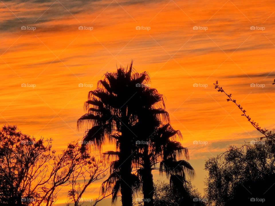 Arizona is known for brilliant sunsets and this one especially did not disappoint