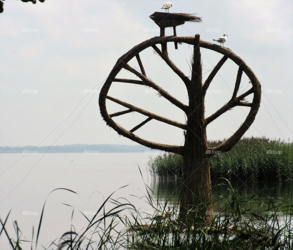 nature art in the Lithuania Neringa