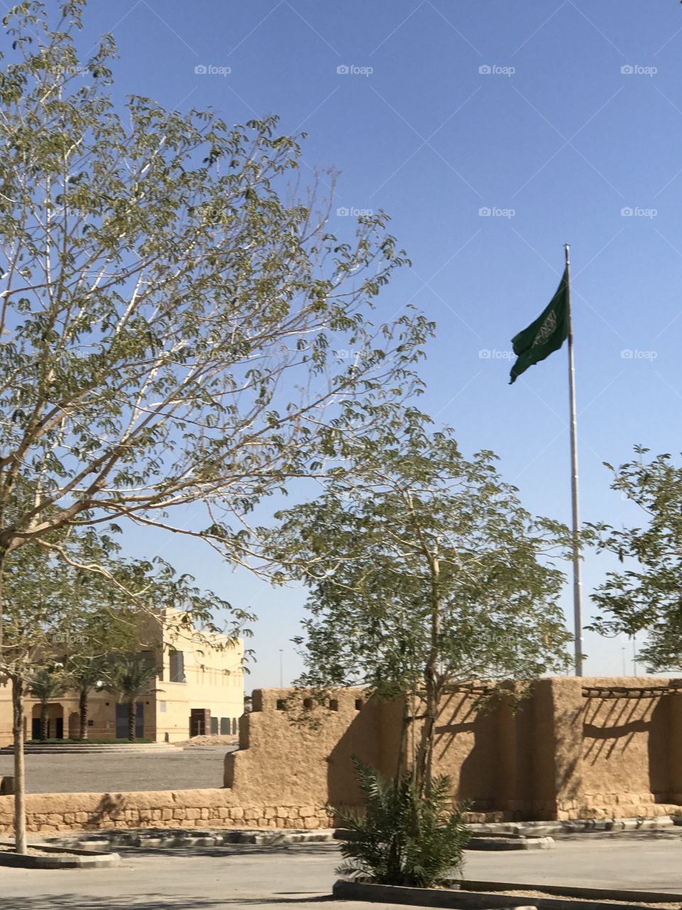 Saudi Flag 