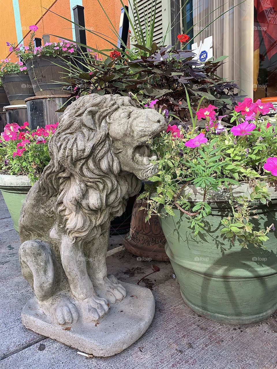 Lion sculpture and flowers 