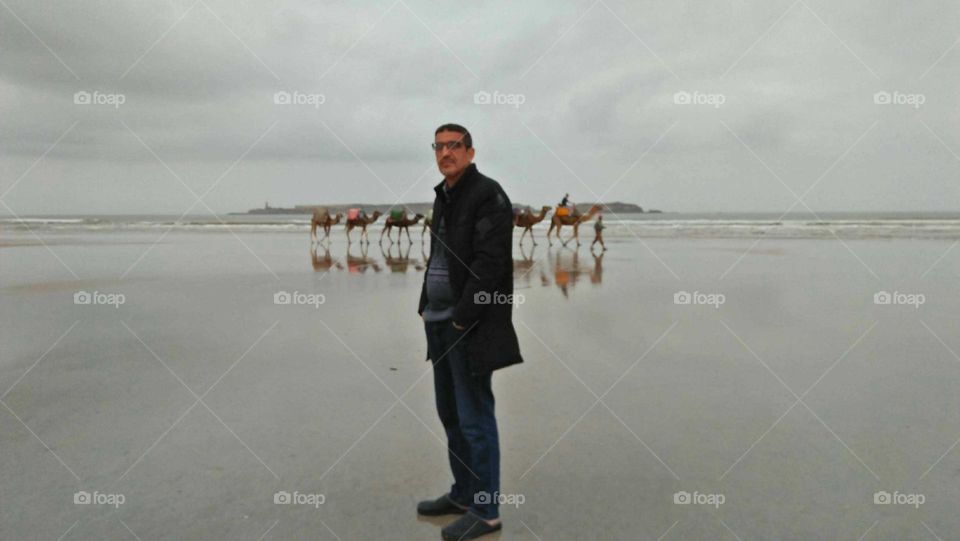 I m standing near the beach and beautiful view to a group of camels walking around the sea.